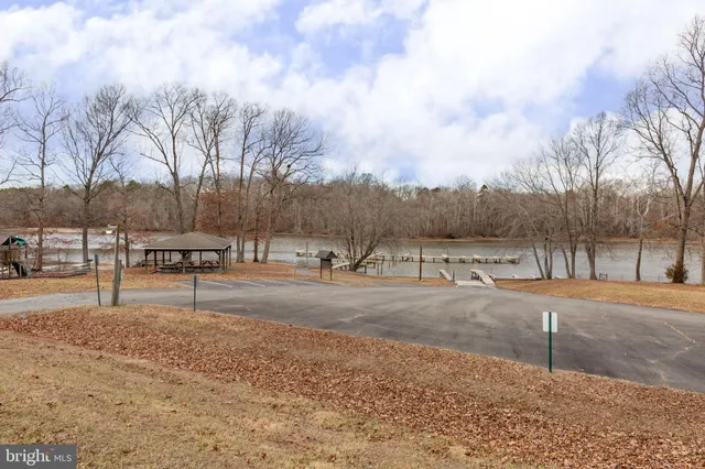a view of dirt yard with a large tree