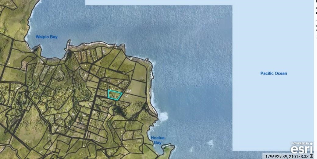 210 Door Of Faith Road Haiku, HI 96708 - Photo 3 of 44