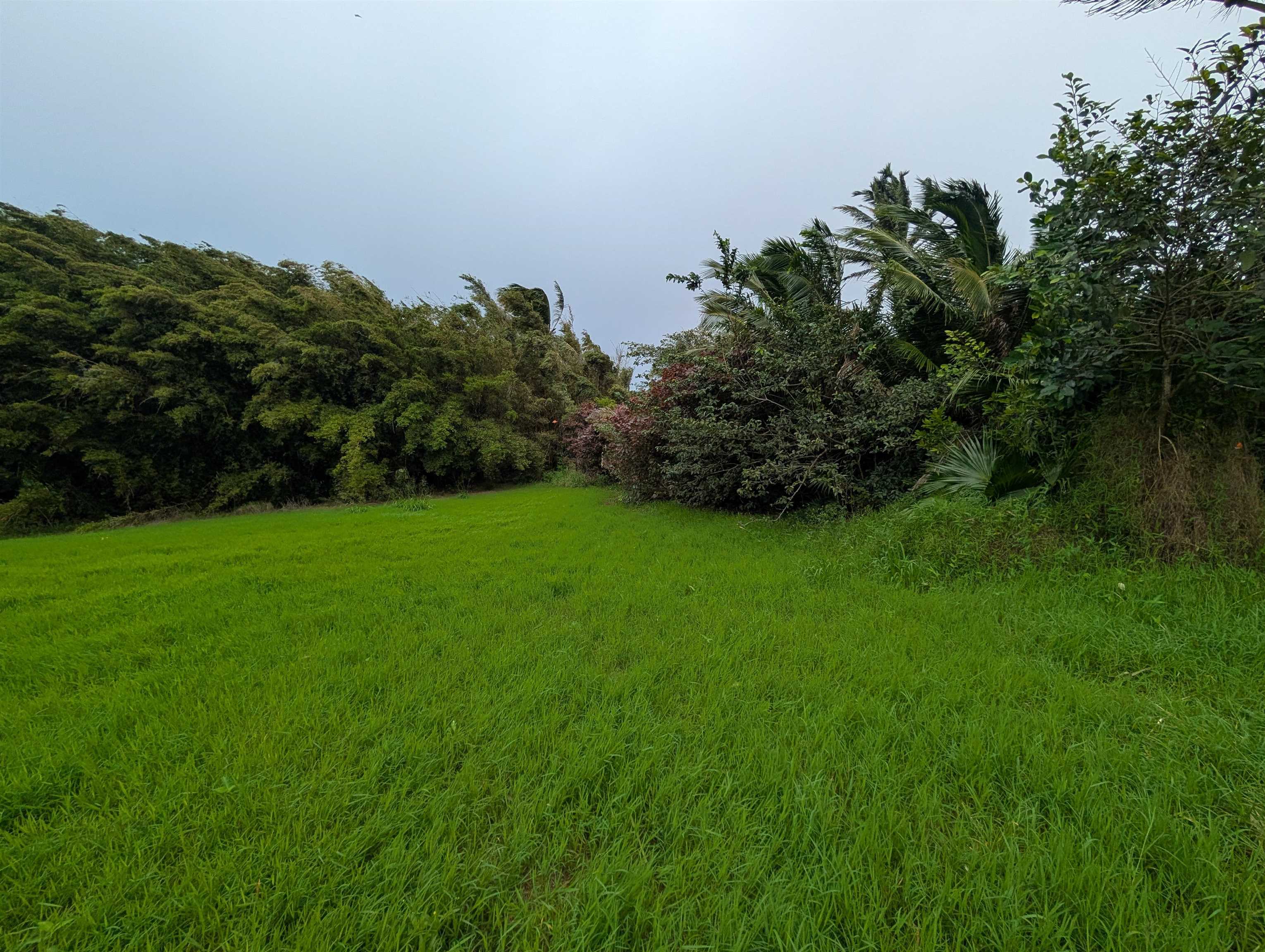 210 Door Of Faith Road Haiku, HI 96708 - Photo 35 of 44 a view of a garden with a building in front of it