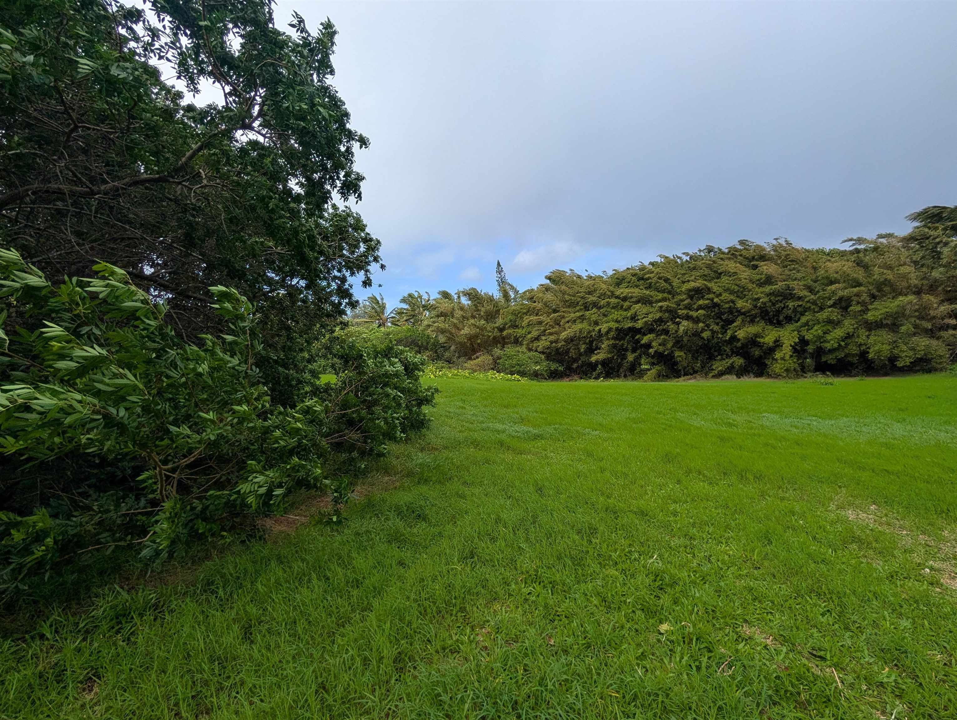 210 Door Of Faith Road Haiku, HI 96708 - Photo 36 of 44 a view of a garden with a building in background