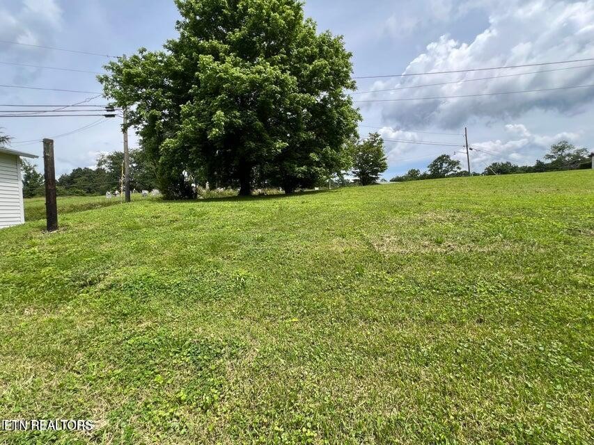 121 Sexton Lane Oneida, TN 37841 - Photo 10 of 32 a view of yard with green space