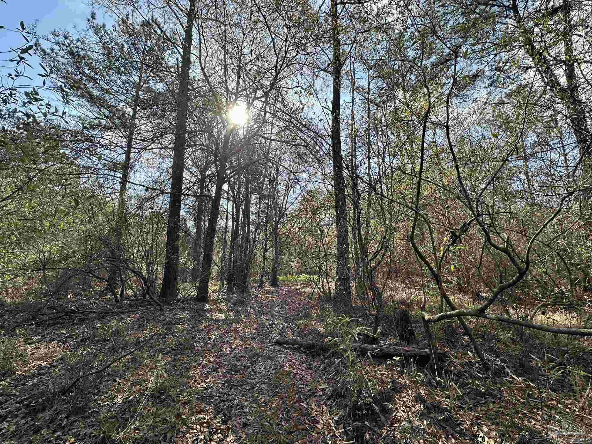 15-ac Snyder Road Frisco City, AL 36445 - Photo 10 of 22