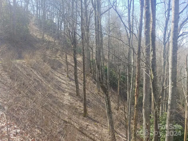 $22,000 | 38 Barn Cove Road, Clyde, NC 28721