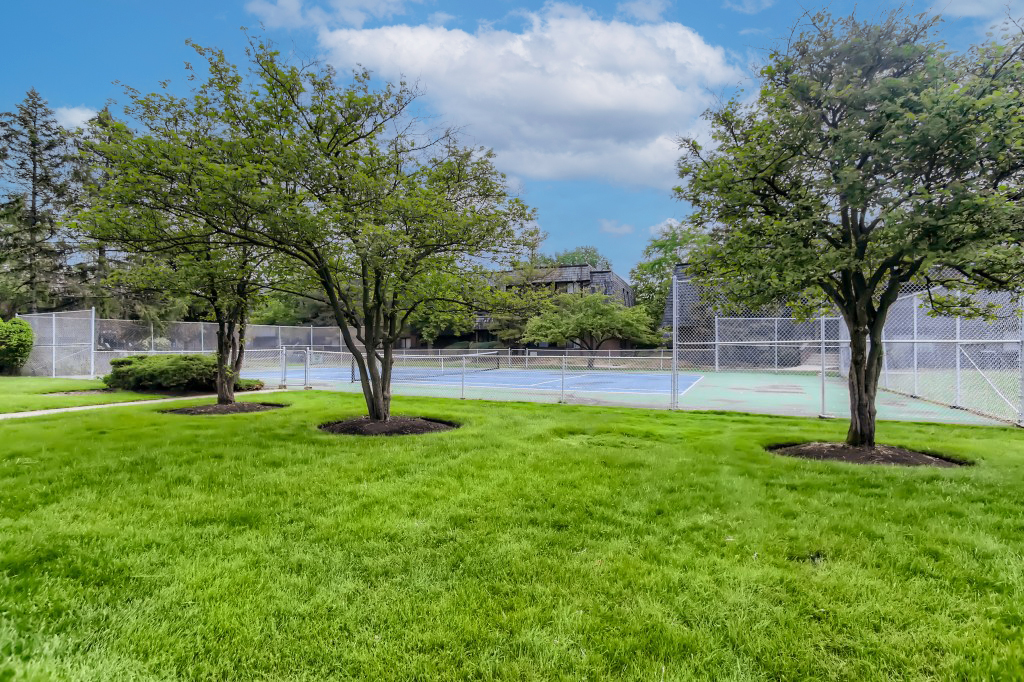525 Timber Ridge Drive, Unit 208 Carol Stream, IL 60188 - Photo 20 of 20 Gallery Image 20