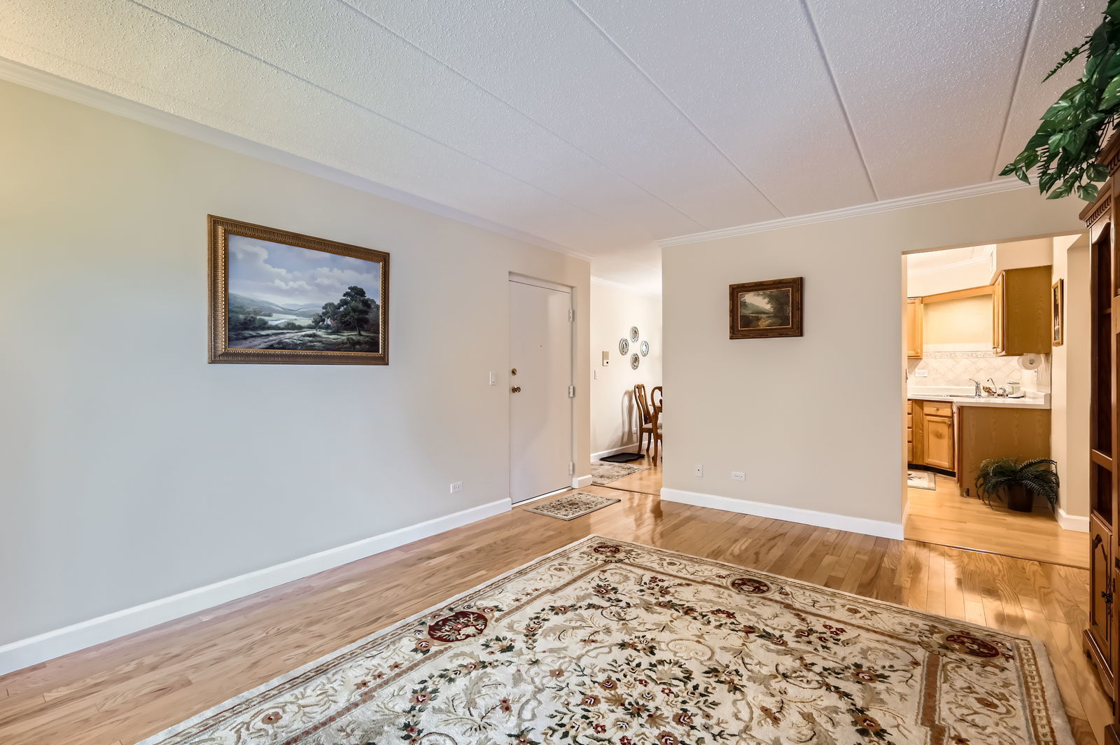 525 Timber Ridge Drive, Unit 208 Carol Stream, IL 60188 - Photo 6 of 20 Gallery Image 6