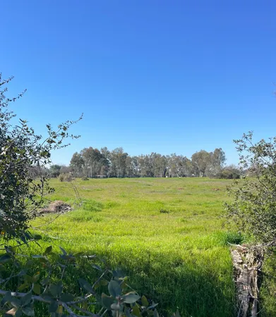 a view of an ocean from a yard