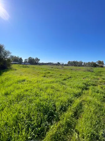 a view of a grassy field with an ocean