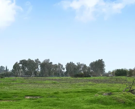 a view of grassy field with trees