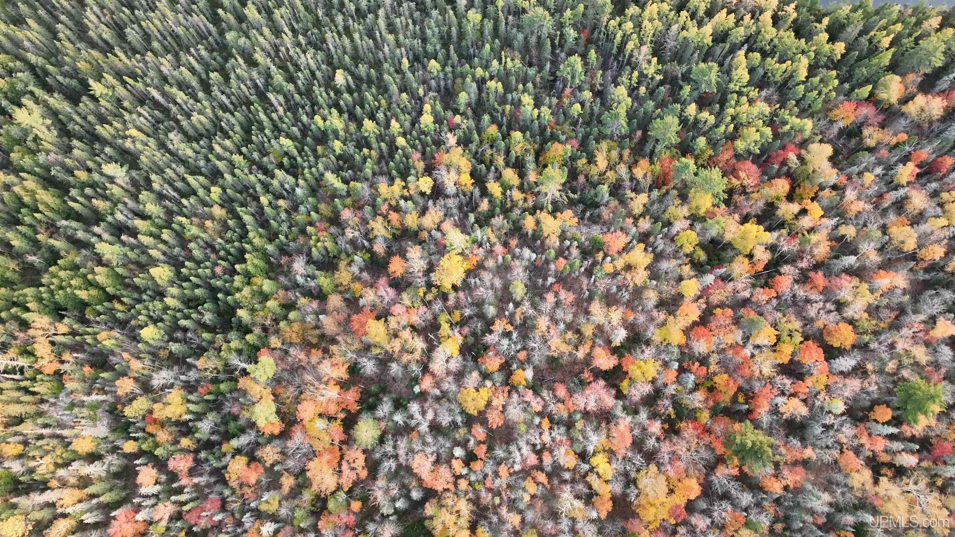 Tbd Tbd Peshekee Grade Road Michigamme, MI 49861 - Photo 16 of 61