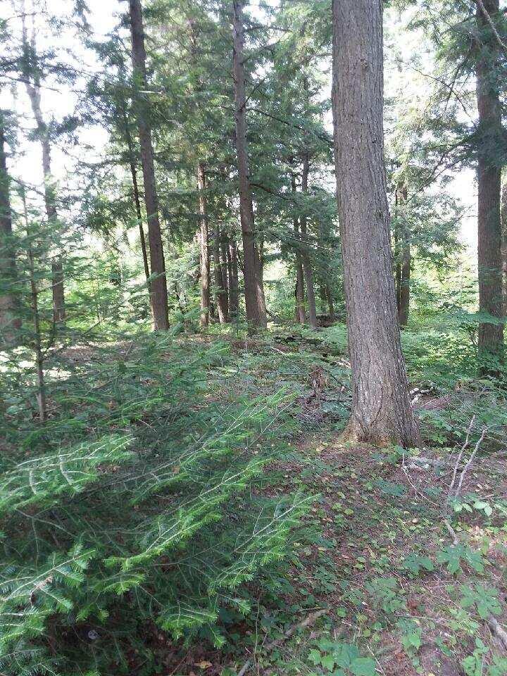 0 West Edge Road Germfask, MI 49836 - Photo 9 of 26 Gallery Image 9