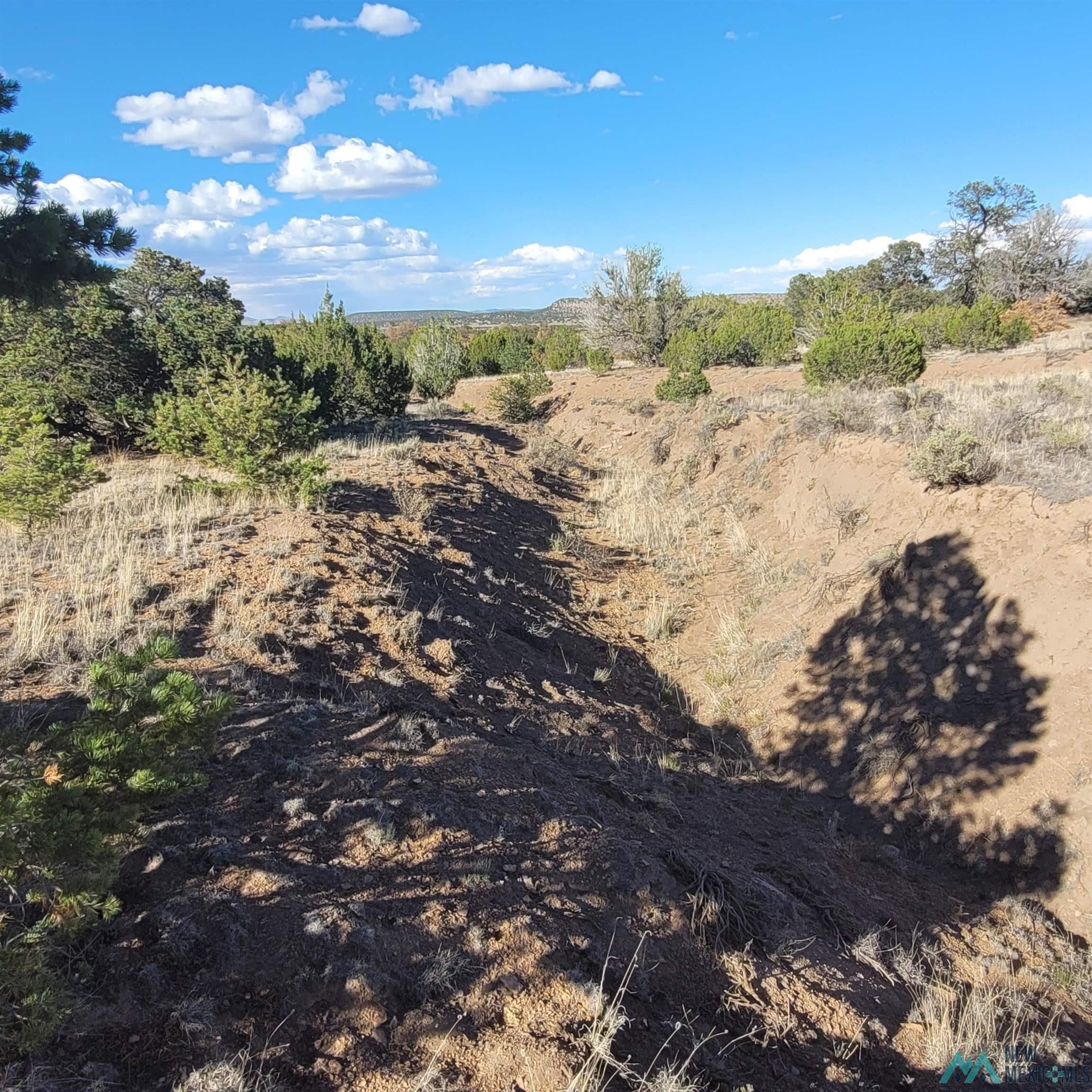 90 Lots 90 And 91 Canyon Drive Datil, NM 87821 - Photo 15 of 26 Gallery Image 15