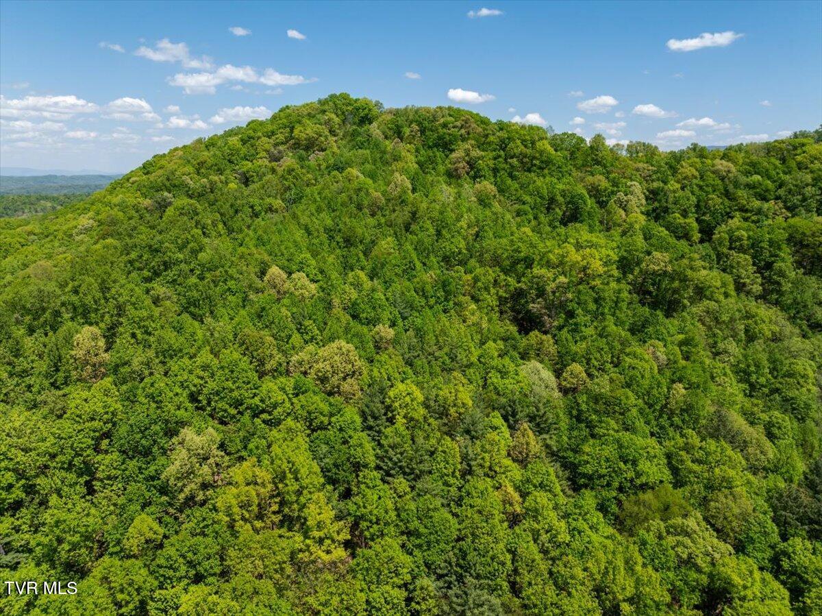 761 Ryder Church Road Bluff City, TN 37618 - Photo 28 of 57 29-WBP-Ryder-Church-29