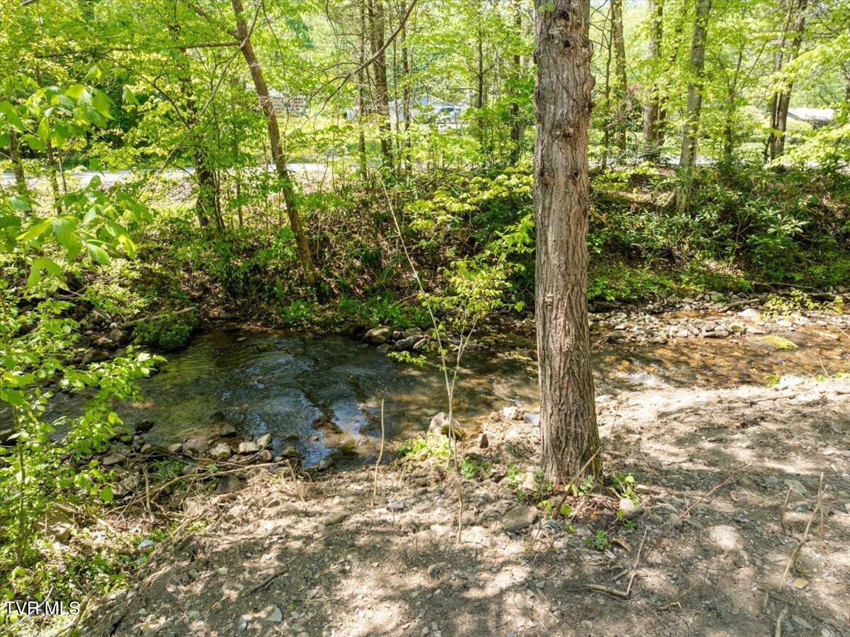 761 Ryder Church Road Bluff City, TN 37618 - Photo 53 of 57 51-WBP-Ryder-Church-7