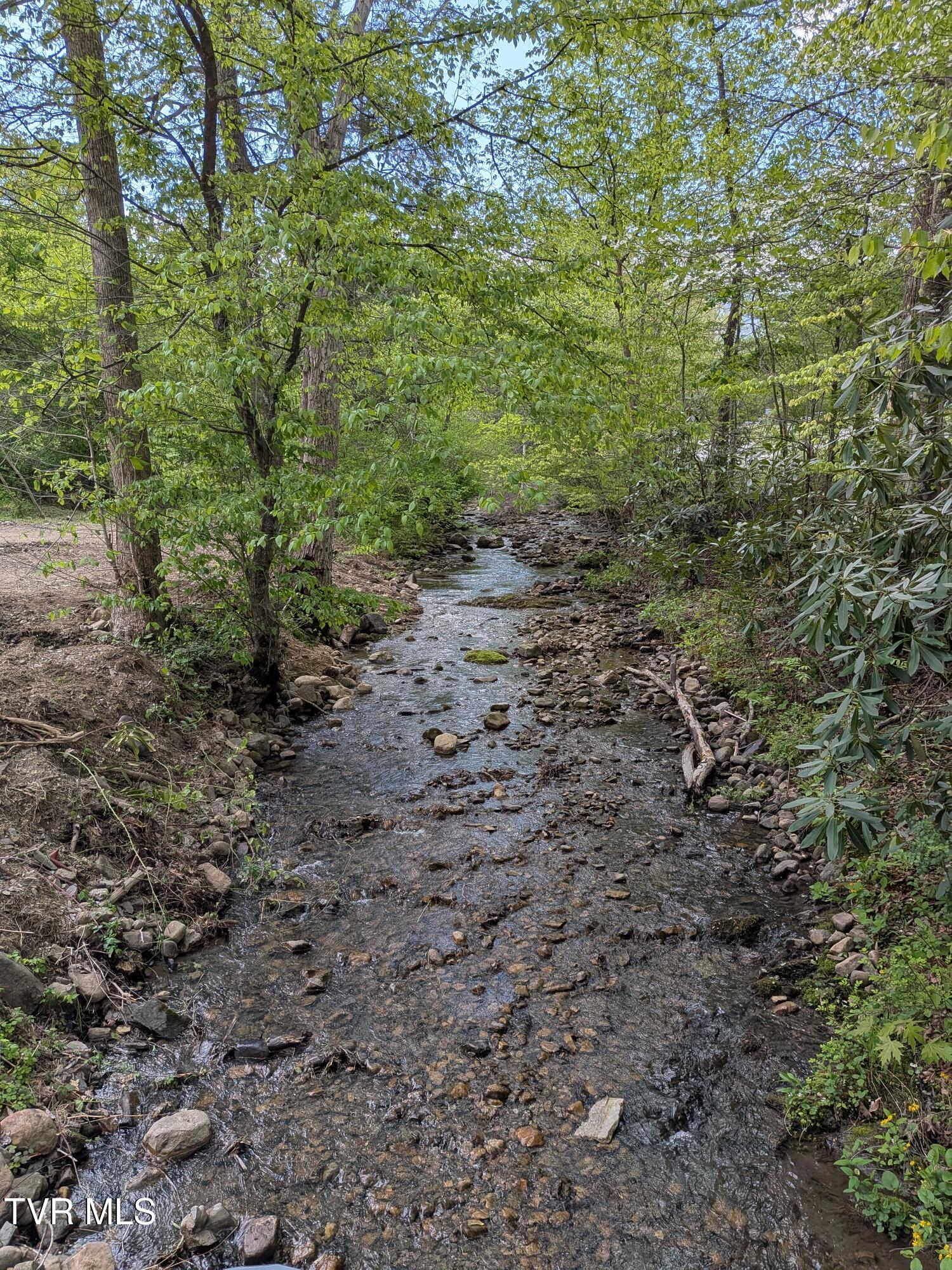 761 Ryder Church Road Bluff City, TN 37618 - Photo 56 of 57 PXL_20260422_152135317.MP