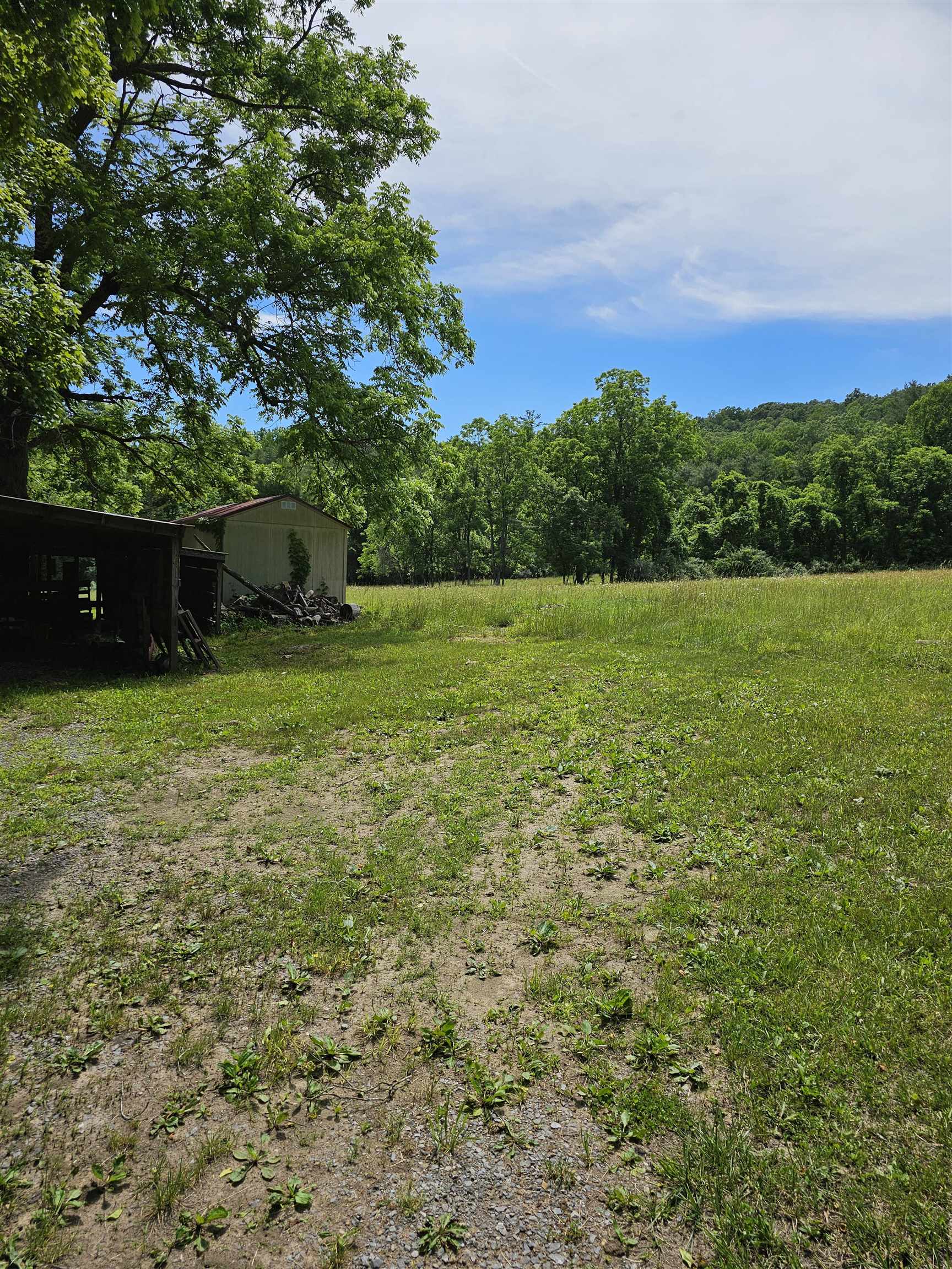 2105 Coles Mountain Road Covington, VA 24426 - Photo 41 of 66