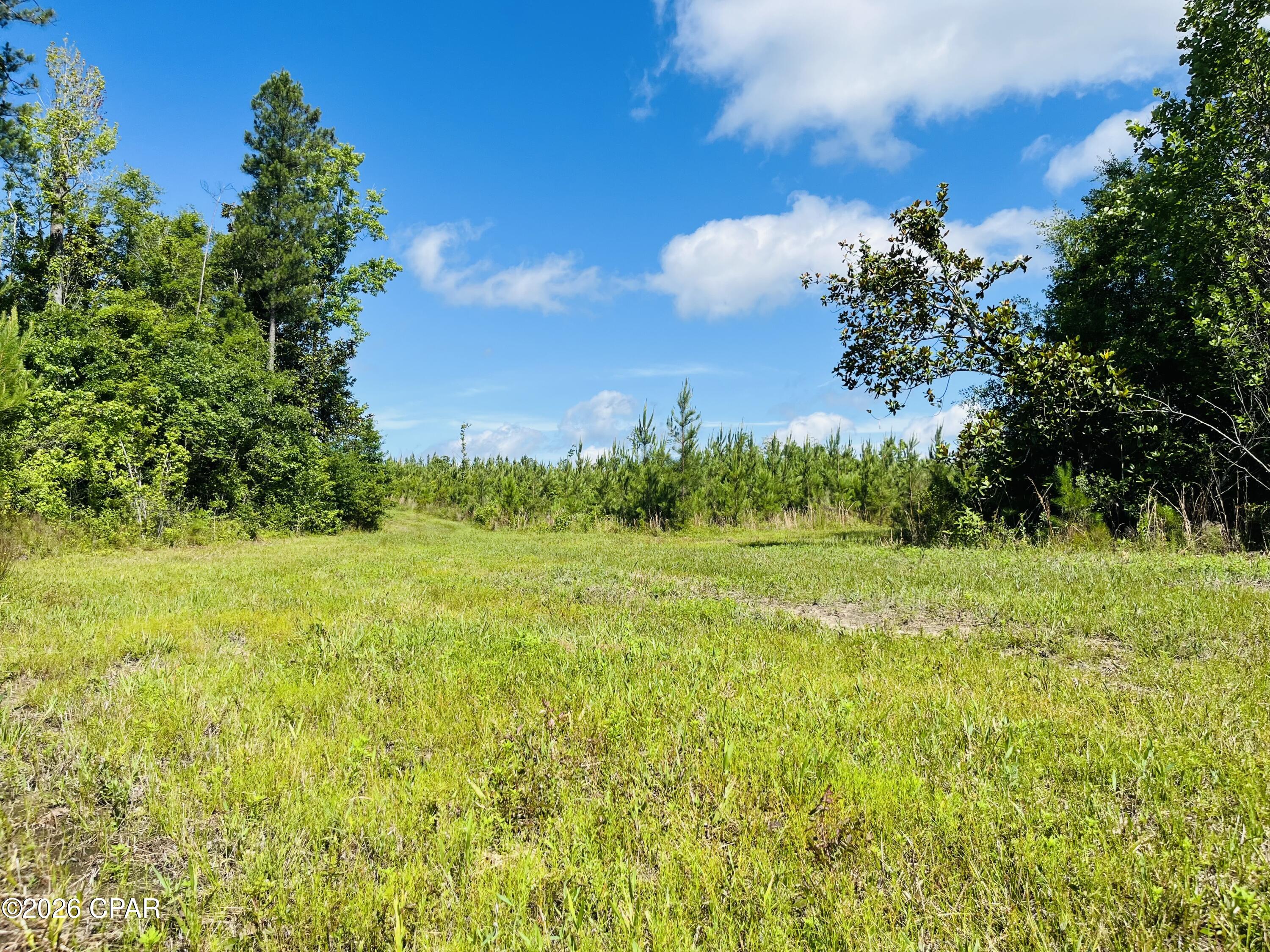 Tbd Sinai Road Sneads, FL 32460 - Photo 24 of 24