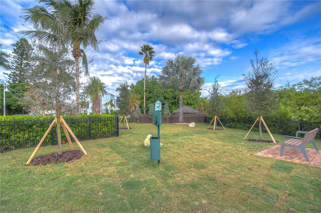 755 Collany Road, Unit 508 St. Petersburg, FL 33715 - Photo 91 of 99 Dog Park