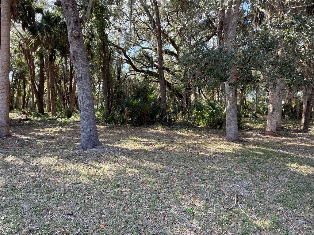 11331 Ganesh Way Sebastian, FL 32958 - Photo 5 of 6 a view of a tree with a tree