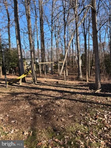 a view of a playground with a tree