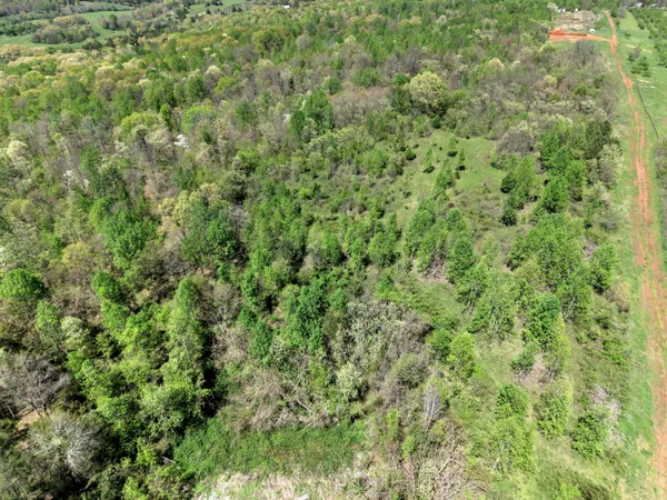$70,000 | 10 Acres Cr- 792 8-9 Flat, Flat Rock, AL 35966
