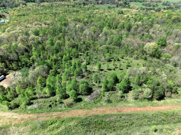 $70,000 | 10 Acres Cr- 792 8-9 Flat, Flat Rock, AL 35966