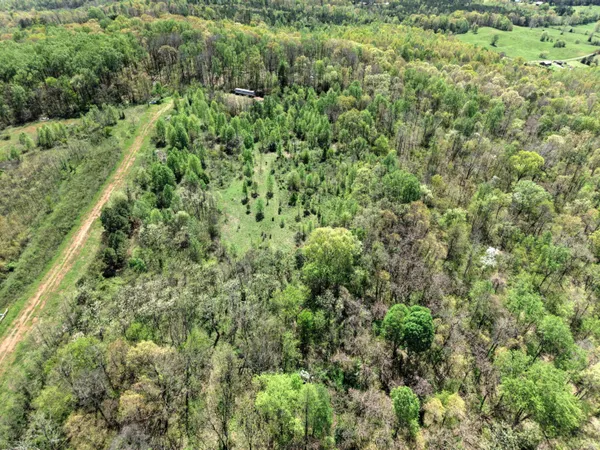 $70,000 | 10 Acres Cr- 792 8-9 Flat, Flat Rock, AL 35966