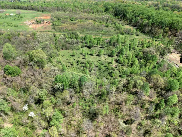 $70,000 | 10 Acres Cr- 792 8-9 Flat, Flat Rock, AL 35966
