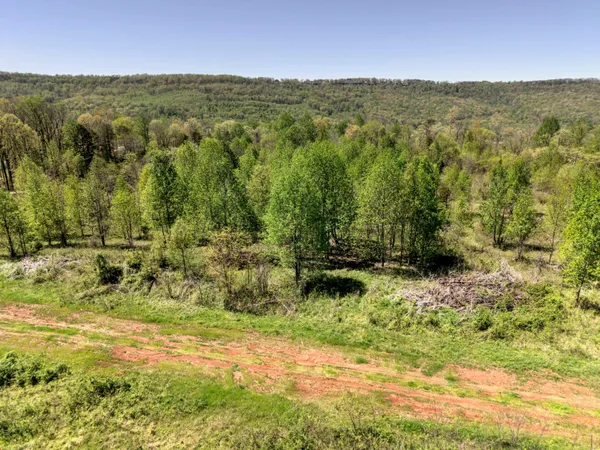 $70,000 | 10 Acres Cr- 792 8-9 Flat, Flat Rock, AL 35966