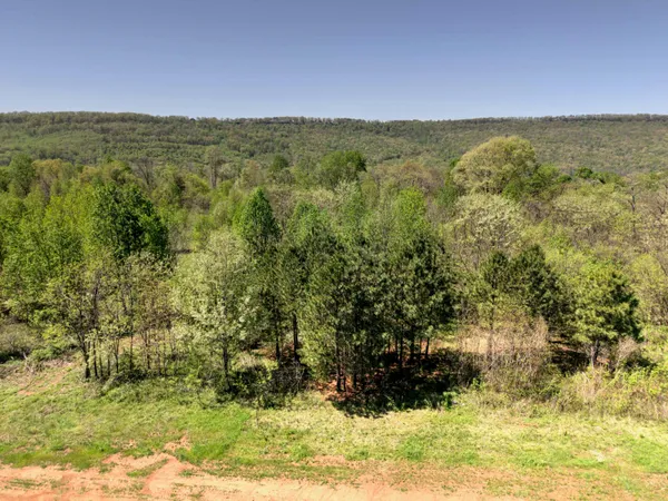 $70,000 | 10 Acres Cr- 792 8-9 Flat, Flat Rock, AL 35966