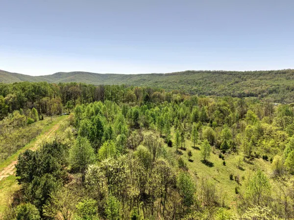 $70,000 | 10 Acres Cr- 792 8-9 Flat, Flat Rock, AL 35966