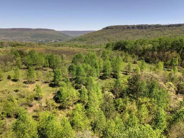 $70,000 | 10 Acres Cr- 792 8-9 Flat, Flat Rock, AL 35966