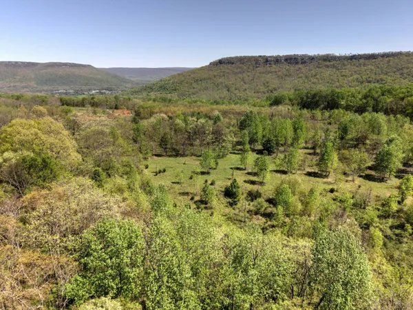 $70,000 | 10 Acres Cr- 792 8-9 Flat, Flat Rock, AL 35966