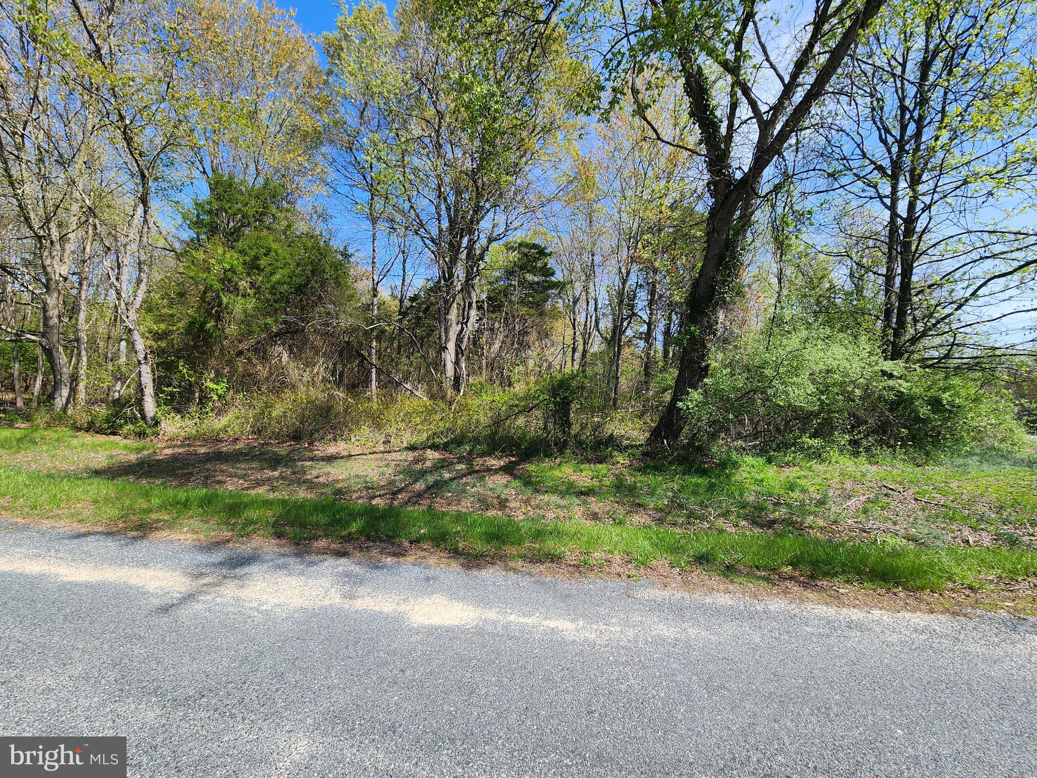 Beltram Road Chestertown, MD 21620 - Photo 3 of 6