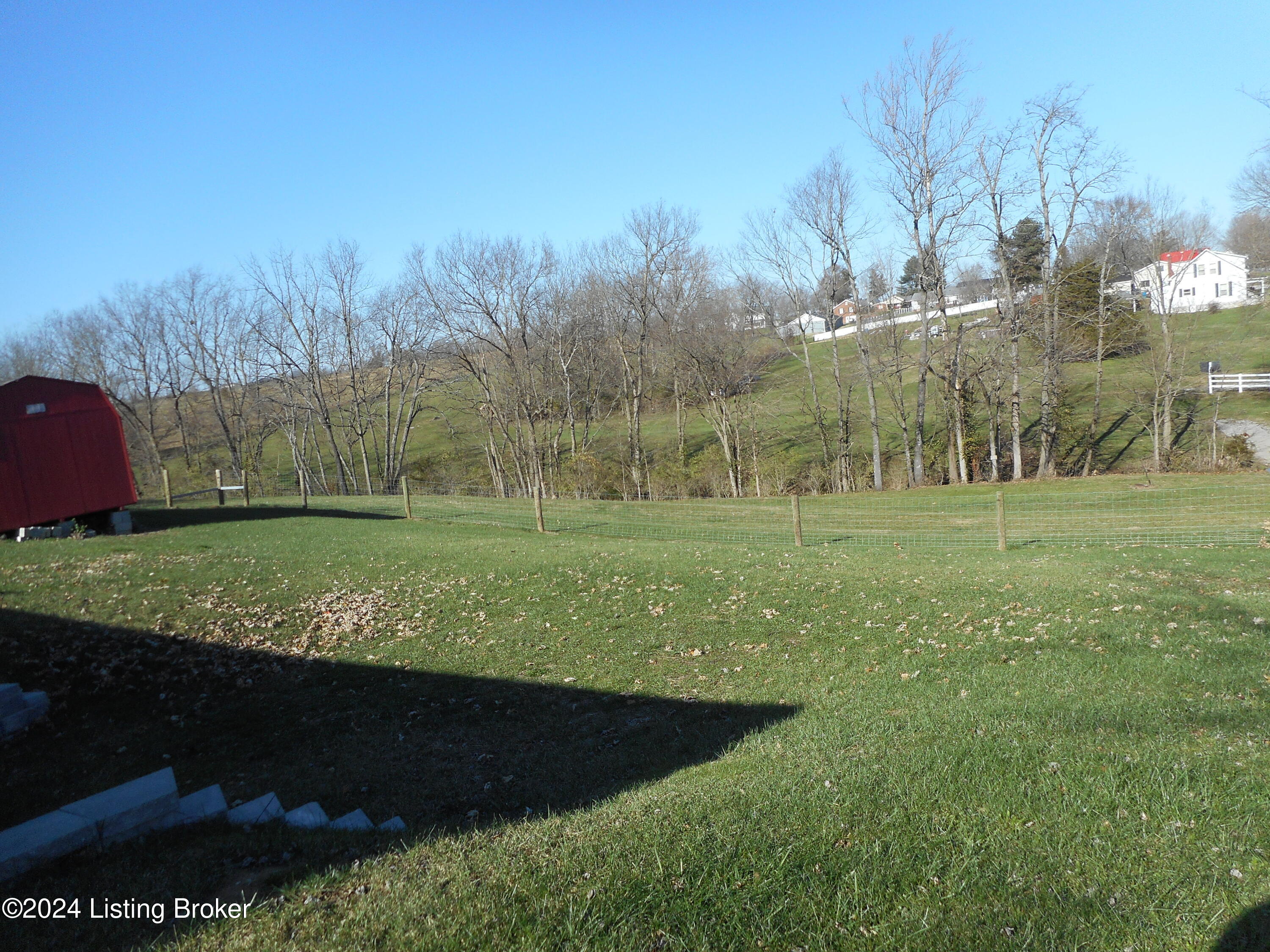 305 West 1st Street Perryville, KY 40468 - Photo 23 of 32 View of back yard