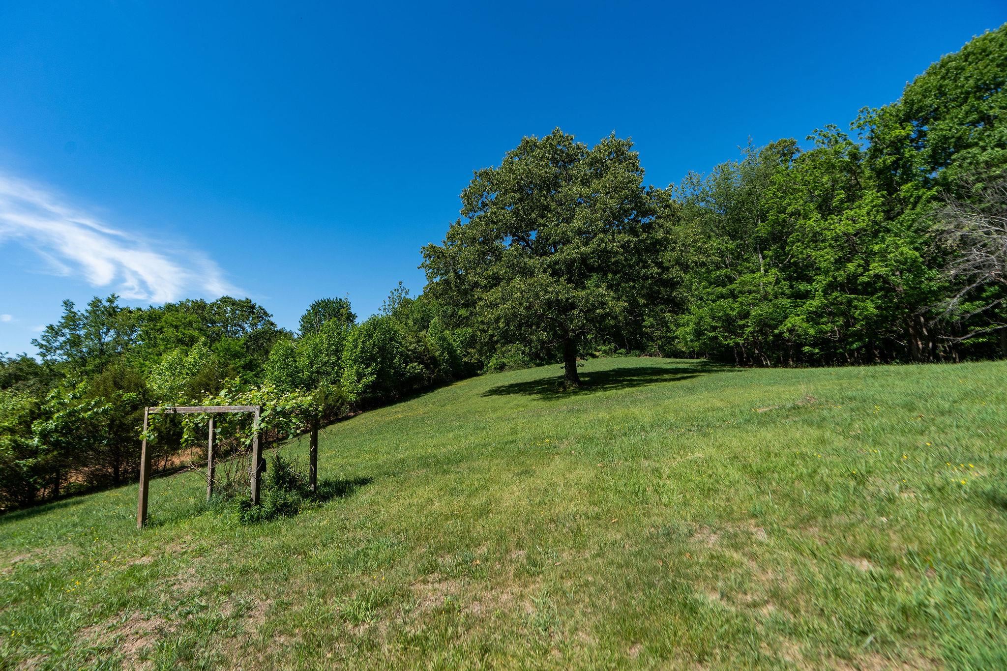 875 Campbells Hollow Road Middlebrook, VA 24459 - Photo 53 of 75