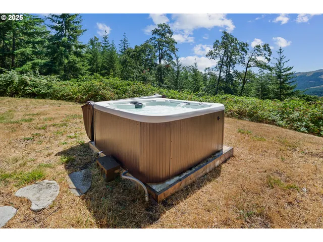 a view of a backyard with a tub