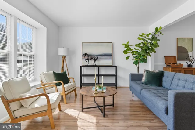 a living room with furniture and a potted plant on table