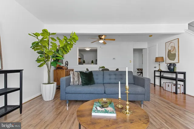 a living room with furniture and a potted plant