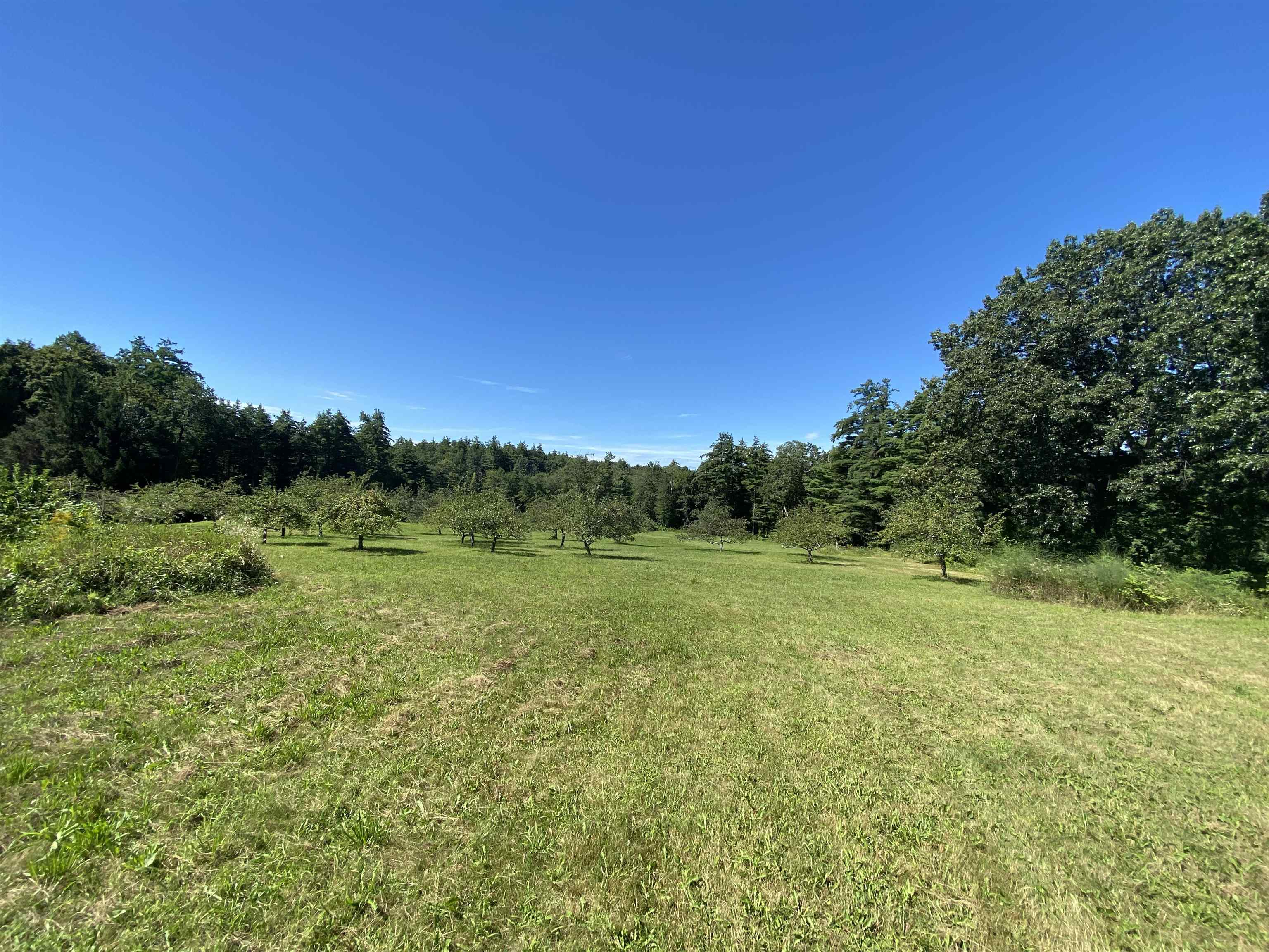 310 Pine Hill Road Hollis, NH 03049 - Photo 5 of 19
