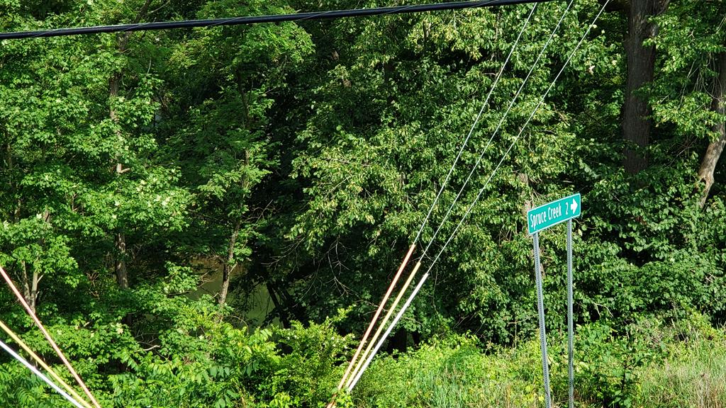 3332 Union Furnace Road Tyrone, PA 16686 - Photo 10 of 46 Gallery Image 10
