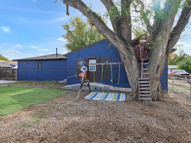 a view of a backyard with a garden and plants