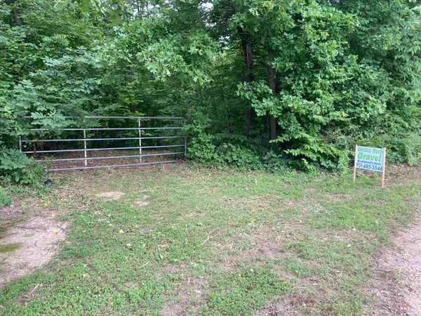 a view of a yard with wooden fence