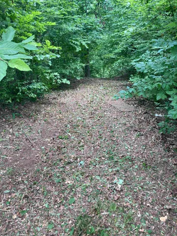 a view of a large yard with lots of green space