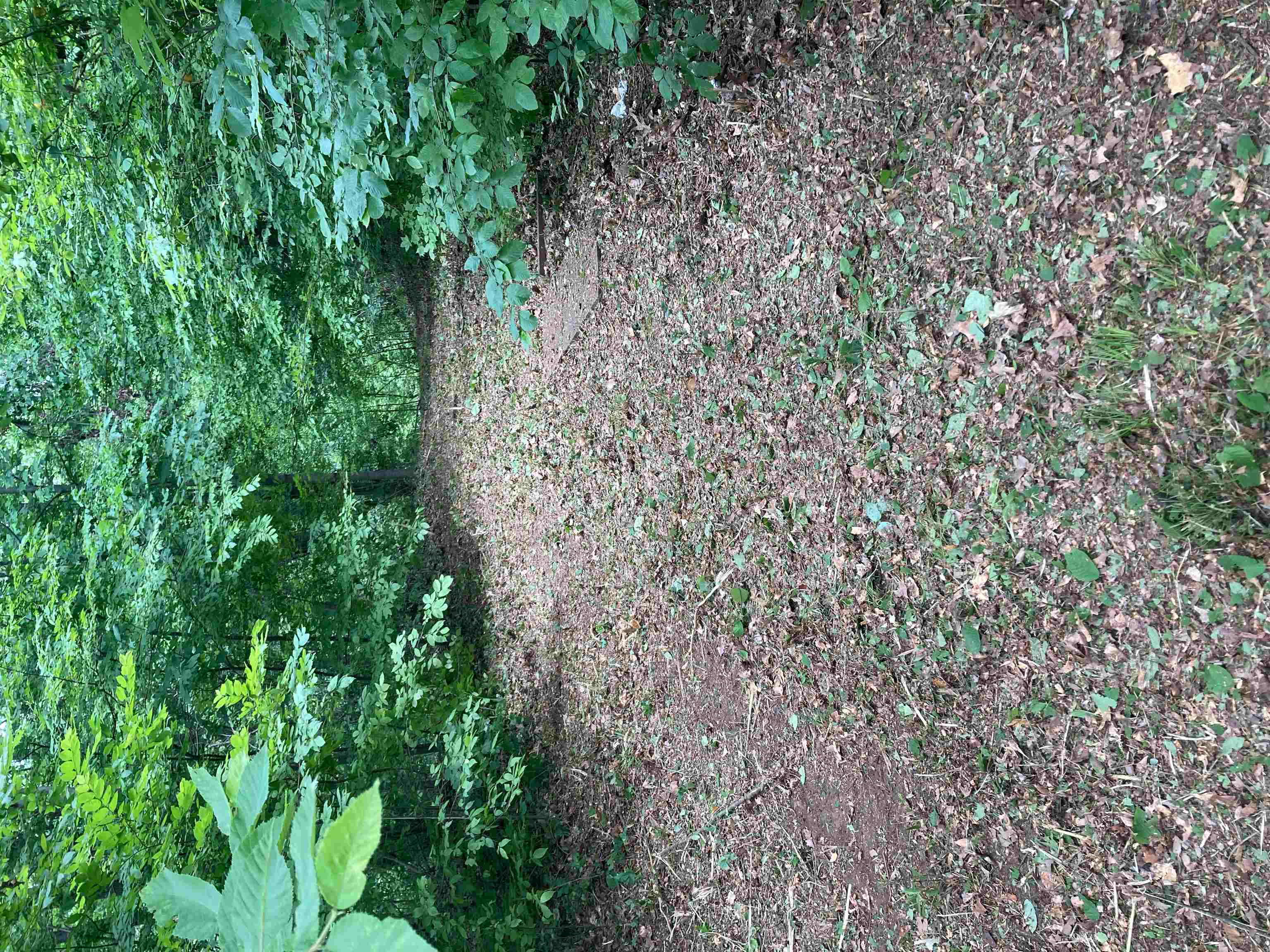 0 St Paul Road Millington, TN 38053 - Photo 3 of 10 a view of a large yard with lots of green space