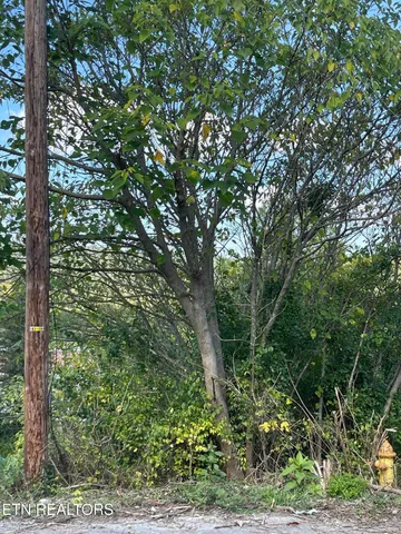 $26,499 | 132 Church Street, Jellico, TN 37762