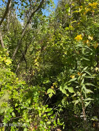 $26,499 | 132 Church Street, Jellico, TN 37762