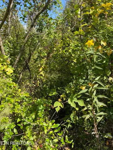 $26,499 | 132 Church Street, Jellico, TN 37762