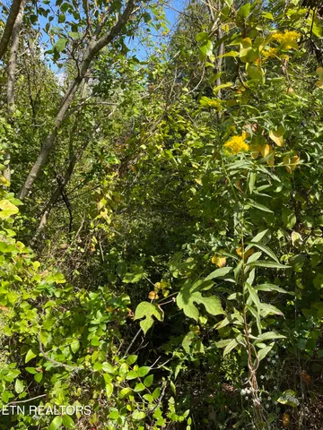 $26,499 | 132 Church Street, Jellico, TN 37762