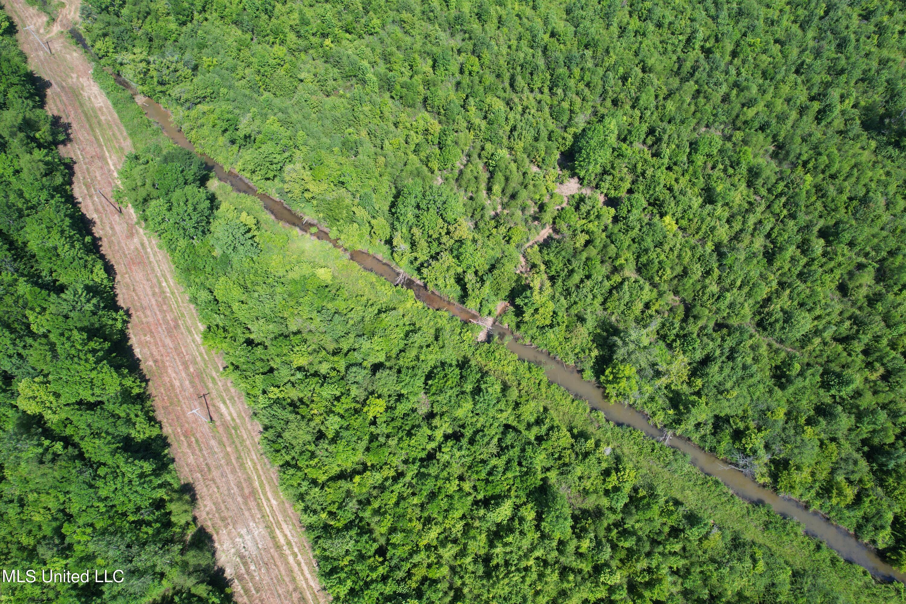 North Street New Albany, MS 38652 - Photo 14 of 16 2024-06-23 10.26.28