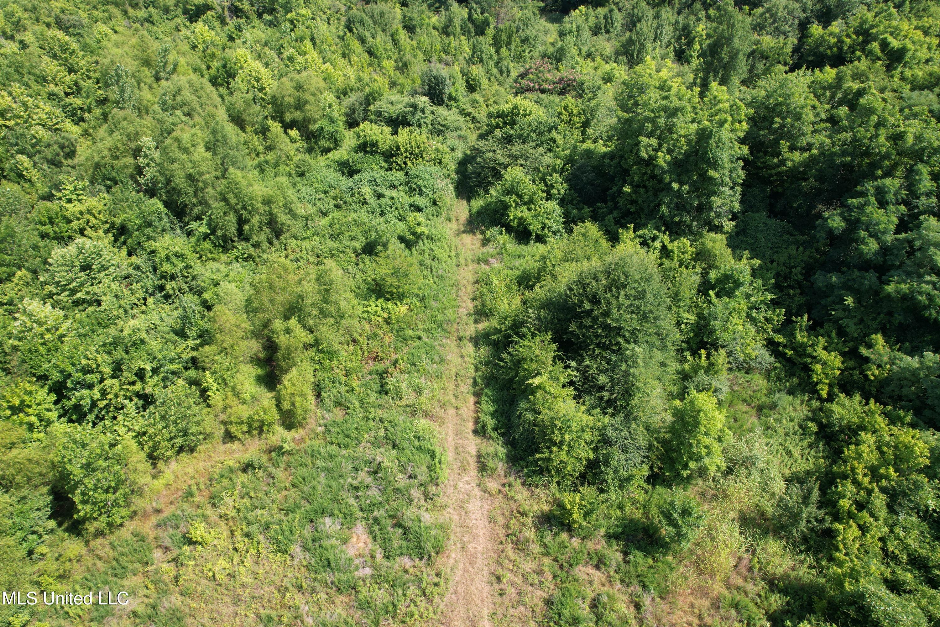 North Street New Albany, MS 38652 - Photo 15 of 16 2024-06-23 10.27.07